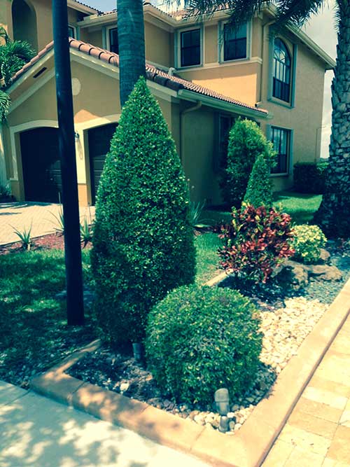 Monthly Termite Service — Tree Service in Hialeah, FL