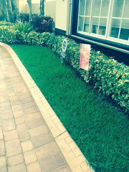 Pest Control — Lawn Care in Hialeah, FL