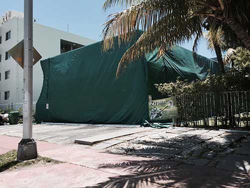 Get Rid Of Ants — Commercial Tenting in Hialeah, FL