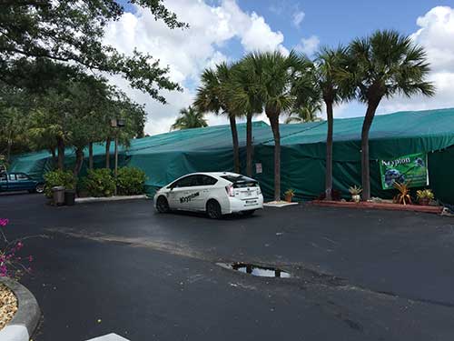 Monthly Insect Treatment — Pest Control Service in Hialeah, FL