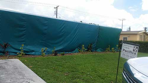 Pest Removal Service — Pest Control in Hialeah, FL