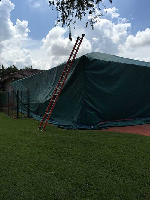 Monroe County — Termite Removal in Hialeah, FL