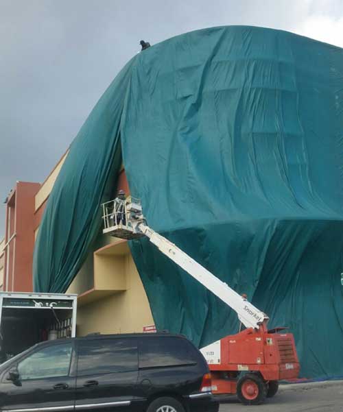Bed Bug Removal — Mall Tenting in Hialeah, FL
