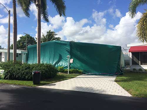 Termite Control — Residential Tenting in Hialeah, FL