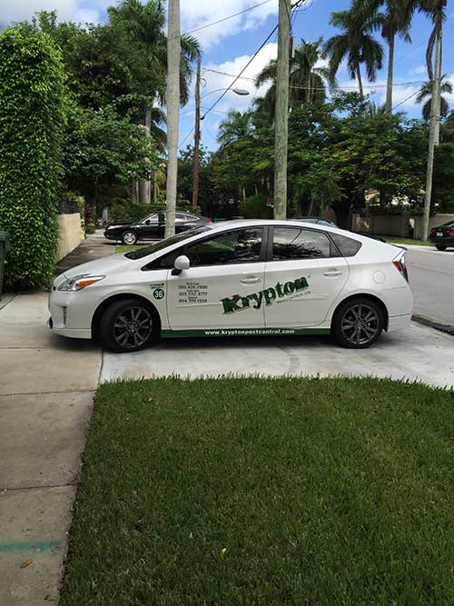 Get Rid Of Ants — Krypton Service in Hialeah, FL