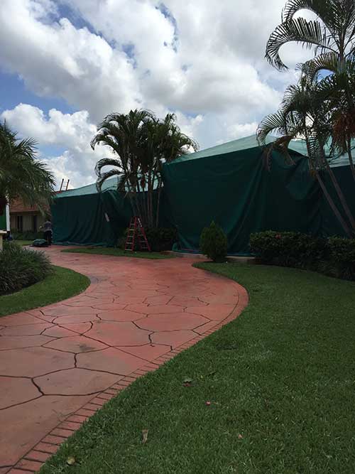 Lawn Care Treatment For Bugs — Tenting in Hialeah, FL