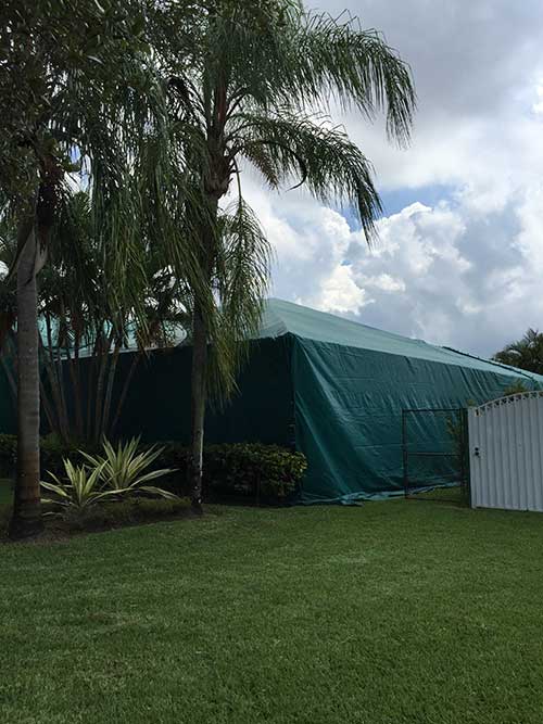 Pest Removal — Commercial Tenting in Hialeah, FL