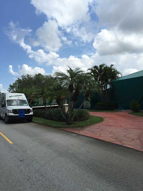 Ants In House — Krypton Service in Hialeah, FL
