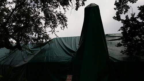 Monthly Insect Treatment — House Tenting in Hialeah, FL