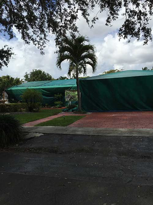 South Florida — Pest Control in Hialeah, FL