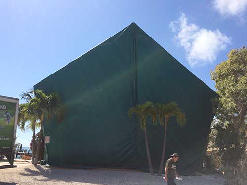 Pest Control — Tenting in Hialeah, FL