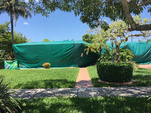 Bed Bug Removal — Commercial Tenting in Hialeah, FL