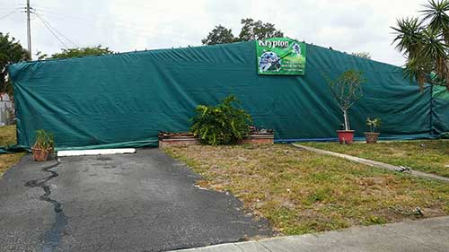 Termite Removal — Tenting in Hialeah, FL