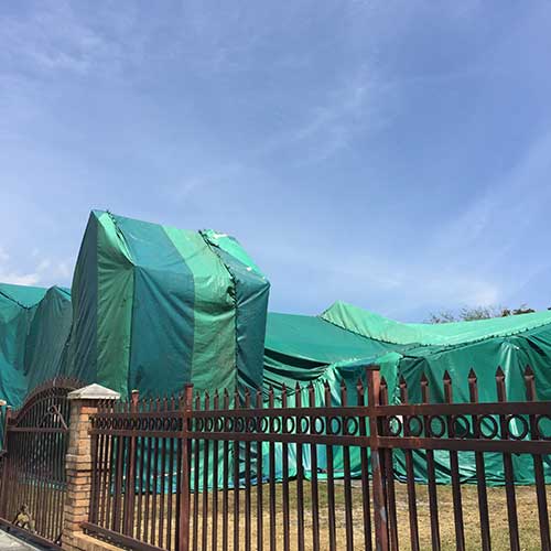 Get Rid Of Ants — Residential Tenting in Hialeah, FL
