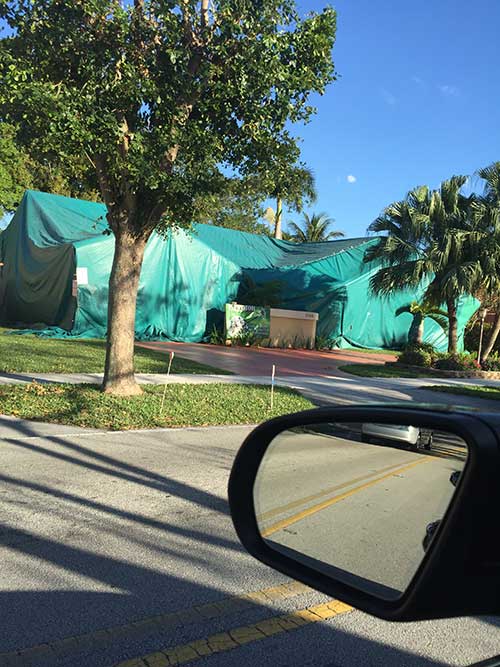 Bug Removal — Krypton Pest Control Service in Hialeah, FL