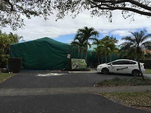 Get Rid Of Bugs — Krypton Service in Hialeah, FL