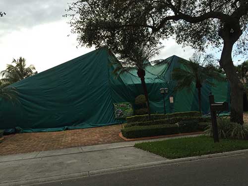 Monthly Insect Treatment — Residential Tenting in Hialeah, FL