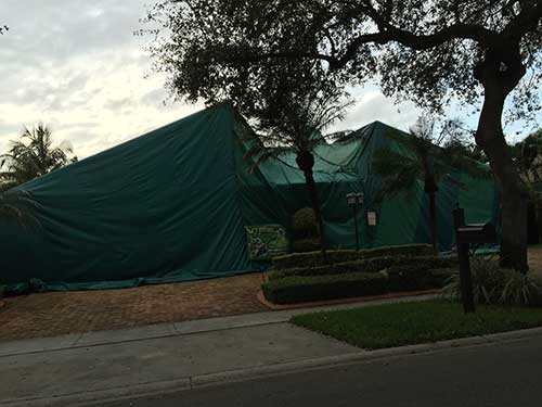 South Florida — Commercial Tenting in Hialeah, FL