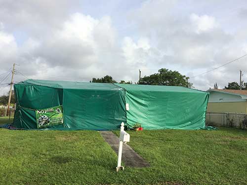 Bed Bug Removal — Pest Control in Hialeah, FL